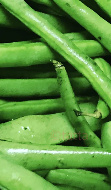 [LINE着せ替え] いんげんの画像1