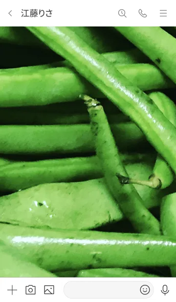 [LINE着せ替え] いんげんの画像3
