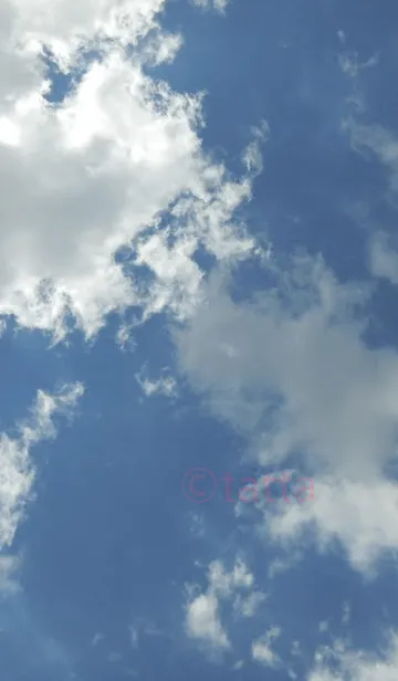 [LINE着せ替え] ビルの隙間の青空の画像1