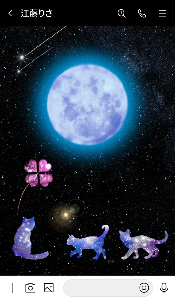 [LINE着せ替え] 運気上昇 Lucky cat clover Moon2の画像3