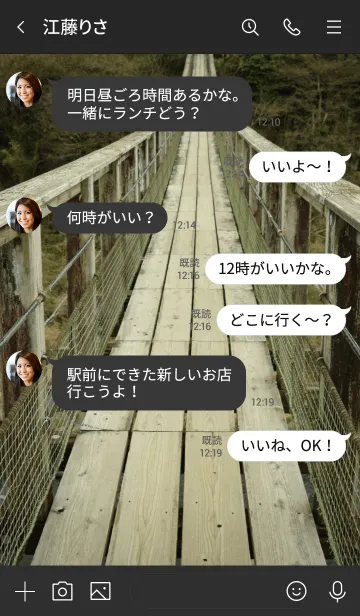 [LINE着せ替え] つり橋の画像4