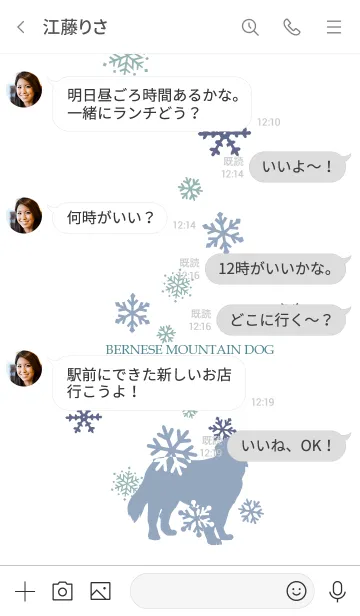 [LINE着せ替え] バーニーズマウンテンドックと雪の画像4