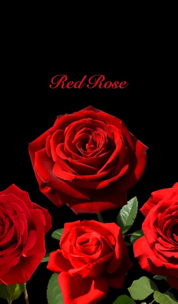 [LINE着せ替え] 「赤い薔薇」のきせかえの画像1