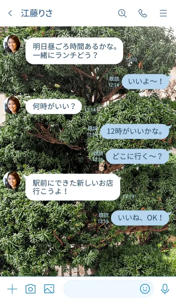 [LINE着せ替え] しっかり育った松の木の画像4