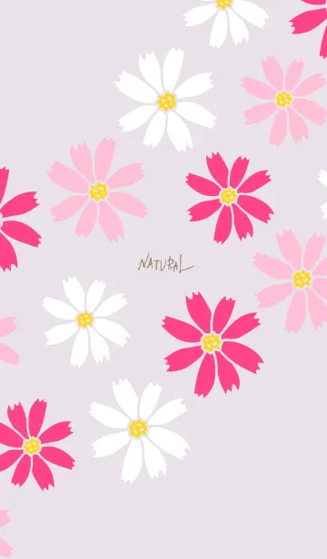 [LINE着せ替え] コスモス くすみパープル5の画像1