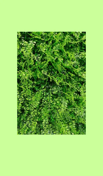 [LINE着せ替え] 緑のデザインの画像1