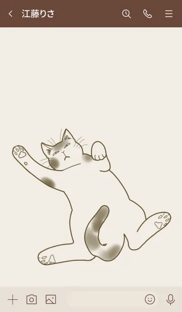 [LINE着せ替え] 目つきの悪い猫の画像3