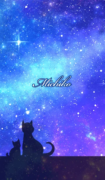 [LINE着せ替え] みちこ用★星空と猫シルエットの画像1