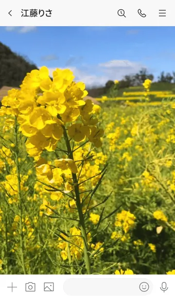 [LINE着せ替え] 菜の花を見ての画像3