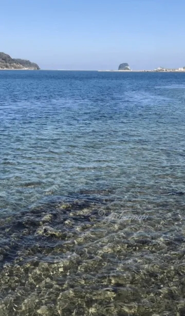 [LINE着せ替え] 海だ！海だよの画像1