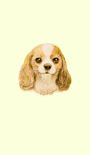 [LINE着せ替え] キャバリア 着せかえの画像1