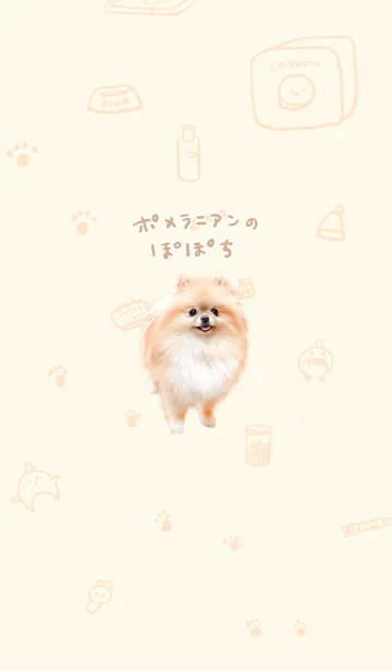 [LINE着せ替え] ポメラニアンのぽぽち〜photo ver.の画像1