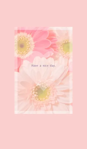 Flowers and hearts -Colorful- 84の着せ替えメイン画像