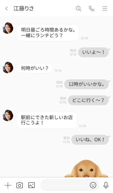 [LINE着せ替え] 犬とシンプル グレーの画像4