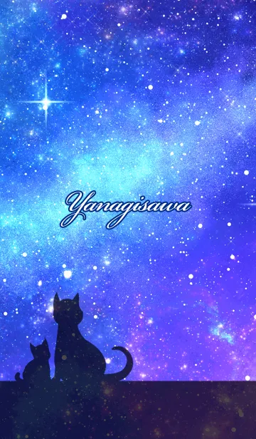 [LINE着せ替え] やなぎさわ用★星空と猫シルエットの画像1