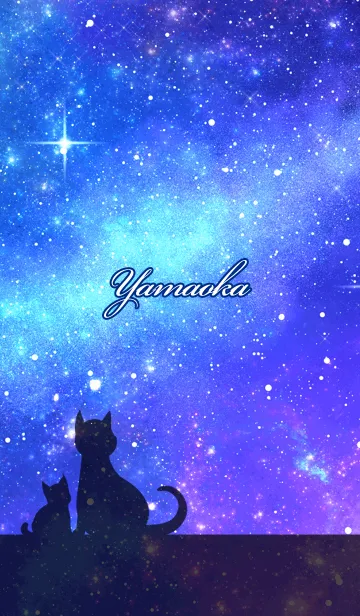 [LINE着せ替え] やまおか用★星空と猫シルエットの画像1