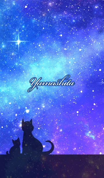 [LINE着せ替え] やました用★星空と猫シルエットの画像1