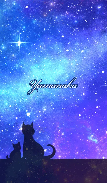 [LINE着せ替え] やまなか用★星空と猫シルエットの画像1