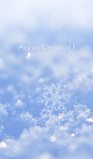 [LINE着せ替え] SnowCrystal 1の画像1