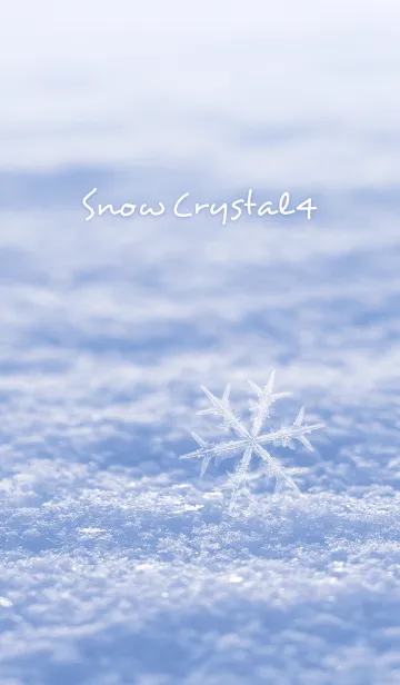 [LINE着せ替え] SnowCrystal 4の画像1