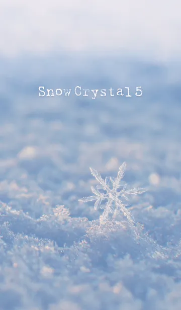 [LINE着せ替え] SnowCrystal 5の画像1