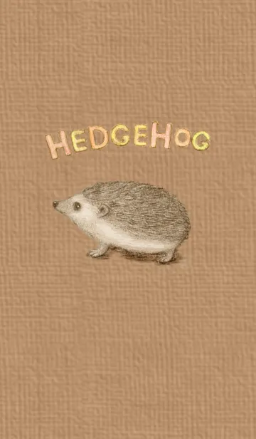 [LINE着せ替え] ハリネズミのきせかえの画像1