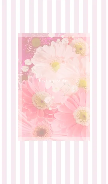 [LINE着せ替え] Gerbera Theme ♡ -2021- 1の画像1