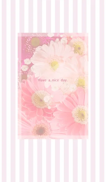 [LINE着せ替え] Gerbera Theme ♡ -2021- 2の画像1