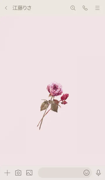 [LINE着せ替え] クラシカル・ローズ・穏やかピンクの画像3