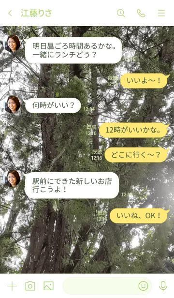 [LINE着せ替え] 大阪の木の画像4