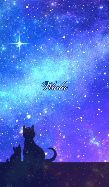 [LINE着せ替え] わだ用★星空と猫シルエットの画像1