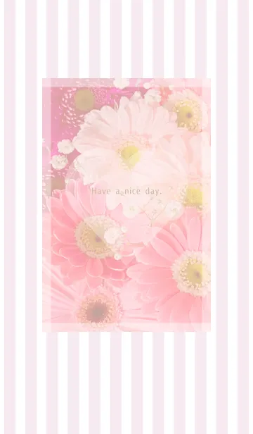 [LINE着せ替え] Gerbera Theme ♡ -2021- 8の画像1