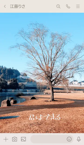 [LINE着せ替え] 木からのメッセージ「君はできる」の画像3