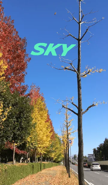 [LINE着せ替え] sky 11 秋の道路の画像1