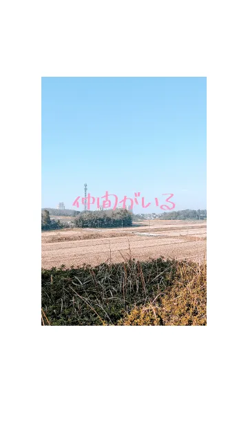 [LINE着せ替え] 田から「仲間がいる」の画像1