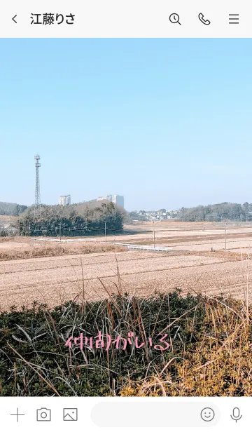 [LINE着せ替え] 田から「仲間がいる」の画像3