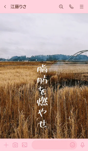 [LINE着せ替え] 冬の田からダイエットを叫ぶの画像3