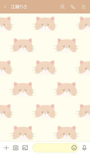 [LINE着せ替え] Mr. Catの画像3