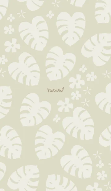 [LINE着せ替え] モンステラ 白 ランダム17の画像1