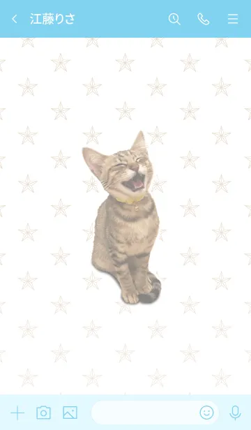 [LINE着せ替え] かわいいキジトラ猫 (修正版)の画像3