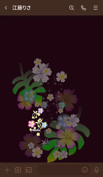 [LINE着せ替え] オトナノ♡ハワイ＊ALOHA+179の画像3