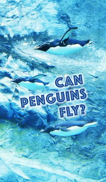 [LINE着せ替え] ペンギンも飛べる？の画像1