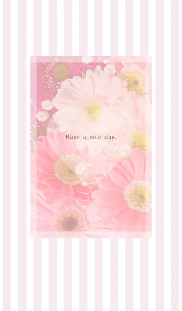 [LINE着せ替え] Gerbera Theme ♡ -2021- 14の画像1