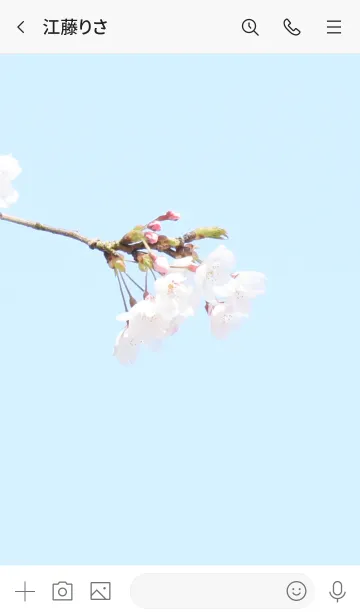 [LINE着せ替え] 〜桜のきせかえ18〜の画像3