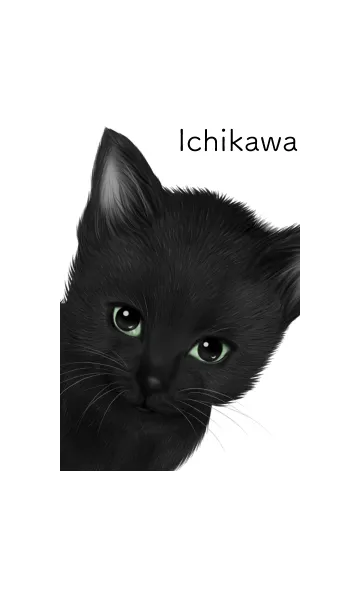 [LINE着せ替え] いちかわ用可愛い黒猫子猫の画像1