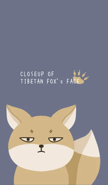 [LINE着せ替え] シンプルなチベットスナギツネ 紺の画像1