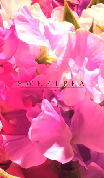 [LINE着せ替え] SWEET PEA -Flower- 3の画像1