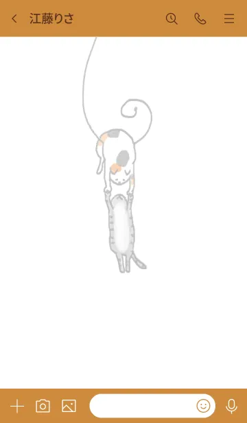 [LINE着せ替え] 猫キャッチの画像3