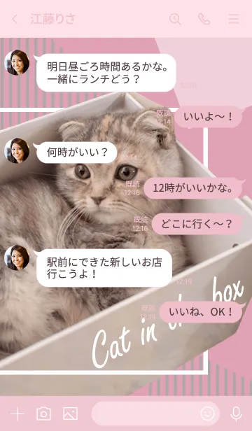 [LINE着せ替え] 箱のねこの画像4