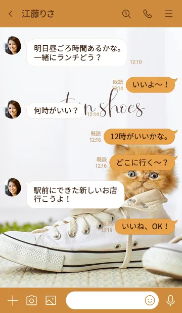 [LINE着せ替え] 靴ねこの画像4